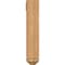 Ekena Millwork Funston Arts and Crafts Smooth Bracket w/ Offset Brace, Western Red Cedar, 5 1/2"W x 16"D x 28"H BKT0604X16X28FST03SWR - alternate 4
